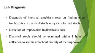 Stool Cyst Parasitology. info about parasites and | PPTX