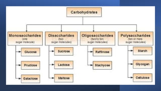 Lec 1 - History of biochemistry and classification of CHO.pptx