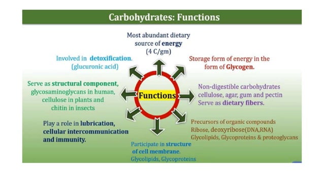 Lec 1 - History of biochemistry and classification of CHO.pptx