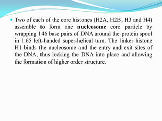 Lec 1 introduction to molecular biology | PDF