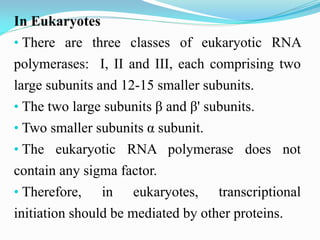 In Eukaryotes
• There are three classes of eukaryotic RNA
polymerases: I, II and III, each comprising two
large subunits and 12-15 smaller subunits.
• The two large subunits β and β' subunits.
• Two smaller subunits α subunit.
• The eukaryotic RNA polymerase does not
contain any sigma factor.
• Therefore, in eukaryotes, transcriptional
initiation should be mediated by other proteins.
 