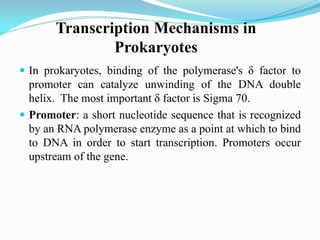  In prokaryotes, binding of the polymerase's δ factor to
promoter can catalyze unwinding of the DNA double
helix. The most important δ factor is Sigma 70.
 Promoter: a short nucleotide sequence that is recognized
by an RNA polymerase enzyme as a point at which to bind
to DNA in order to start transcription. Promoters occur
upstream of the gene.
Transcription Mechanisms in
Prokaryotes
 