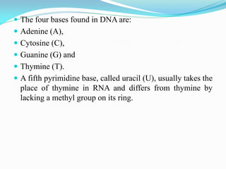  The four bases found in DNA are:
 Adenine (A),
 Cytosine (C),
 Guanine (G) and
 Thymine (T).
 A fifth pyrimidine base, called uracil (U), usually takes the
place of thymine in RNA and differs from thymine by
lacking a methyl group on its ring.
 