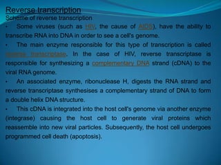 Reverse transcription
Scheme of reverse transcription
• Some viruses (such as HIV, the cause of AIDS), have the ability to
transcribe RNA into DNA in order to see a cell's genome.
• The main enzyme responsible for this type of transcription is called
reverse transcriptase. In the case of HIV, reverse transcriptase is
responsible for synthesizing a complementary DNA strand (cDNA) to the
viral RNA genome.
• An associated enzyme, ribonuclease H, digests the RNA strand and
reverse transcriptase synthesises a complementary strand of DNA to form
a double helix DNA structure.
• This cDNA is integrated into the host cell's genome via another enzyme
(integrase) causing the host cell to generate viral proteins which
reassemble into new viral particles. Subsequently, the host cell undergoes
programmed cell death (apoptosis).
 