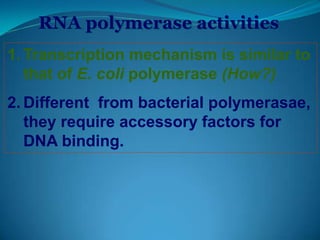 RNA polymerase activities
1. Transcription mechanism is similar to
that of E. coli polymerase (How?)
2. Different from bacterial polymerasae,
they require accessory factors for
DNA binding.
 