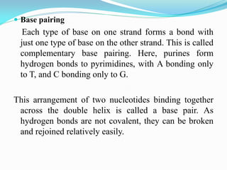  Base pairing
Each type of base on one strand forms a bond with
just one type of base on the other strand. This is called
complementary base pairing. Here, purines form
hydrogen bonds to pyrimidines, with A bonding only
to T, and C bonding only to G.
This arrangement of two nucleotides binding together
across the double helix is called a base pair. As
hydrogen bonds are not covalent, they can be broken
and rejoined relatively easily.
 