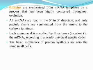 • Proteins are synthesized from mRNA templates by a
process that has been highly conserved throughout
evolution.
• All mRNAs are read in the 5´ to 3´ direction, and poly
peptide chains are synthesized from the amino to the
carboxy terminus.
• Each amino acid is specified by three bases (a codon ) in
the mRNA, according to a nearly universal genetic code.
• The basic mechanics of protein synthesis are also the
same in all cells.
 