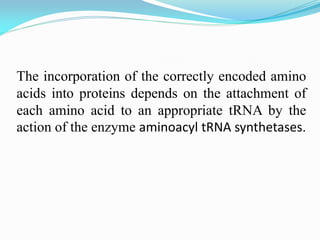 The incorporation of the correctly encoded amino
acids into proteins depends on the attachment of
each amino acid to an appropriate tRNA by the
action of the enzyme aminoacyl tRNA synthetases.
 