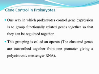 Gene Control in Prokaryotes
 One way in which prokaryotes control gene expression
is to group functionally related genes together so that
they can be regulated together.
 This grouping is called an operon (The clustered genes
are transcribed together from one promoter giving a
polycistronic messenger RNA).
 