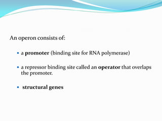 An operon consists of:
 a promoter (binding site for RNA polymerase)
 a repressor binding site called an operator that overlaps
the promoter.
 structural genes
 