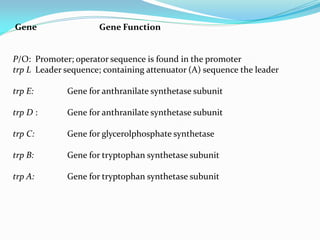 Gene Gene Function
P/O: Promoter; operator sequence is found in the promoter
trp L Leader sequence; containing attenuator (A) sequence the leader
trp E: Gene for anthranilate synthetase subunit
trp D : Gene for anthranilate synthetase subunit
trp C: Gene for glycerolphosphate synthetase
trp B: Gene for tryptophan synthetase subunit
trp A: Gene for tryptophan synthetase subunit
 