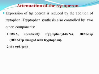 Attenuation of the trp operon
 Expression of trp operon is reduced by the addition of
trytophan. Tryptophan synthesis also controlled by two
other components:
1.tRNA, specifically tryptophanyl-tRNA, tRNATrp
(tRNATrp charged with tryptophan).
2.the trpL gene
 