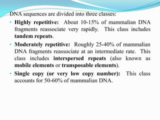 DNA sequences are divided into three classes:
• Highly repetitive: About 10-15% of mammalian DNA
fragments reassociate very rapidly. This class includes
tandem repeats.
• Moderately repetitive: Roughly 25-40% of mammalian
DNA fragments reassociate at an intermediate rate. This
class includes interspersed repeats (also known as
mobile elements or transposable elements).
• Single copy (or very low copy number): This class
accounts for 50-60% of mammalian DNA.
 