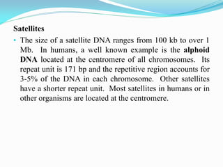 Satellites
• The size of a satellite DNA ranges from 100 kb to over 1
Mb. In humans, a well known example is the alphoid
DNA located at the centromere of all chromosomes. Its
repeat unit is 171 bp and the repetitive region accounts for
3-5% of the DNA in each chromosome. Other satellites
have a shorter repeat unit. Most satellites in humans or in
other organisms are located at the centromere.
 