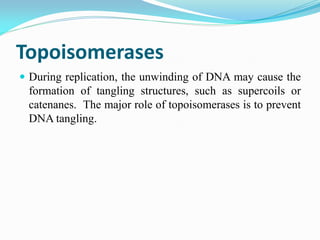 Topoisomerases
 During replication, the unwinding of DNA may cause the
formation of tangling structures, such as supercoils or
catenanes. The major role of topoisomerases is to prevent
DNA tangling.
 