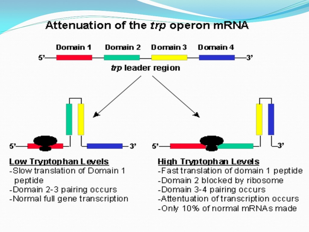 what is molecular movement in biology class 10