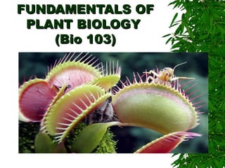 FUNDAMENTALS OFFUNDAMENTALS OF
PLANT BIOLOGYPLANT BIOLOGY
(Bio 103)(Bio 103)
Nanette Hope N. Sumaya, MSc
Department of Biological Sciences
CSM, MSU-IIT, Iligan City ,
Philippines
 