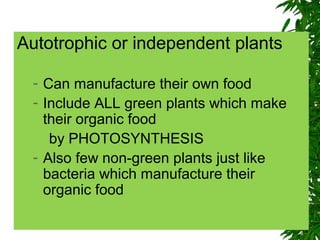 Autotrophic or independent plants
- Can manufacture their own food
- Include ALL green plants which make
their organic food
by PHOTOSYNTHESIS
- Also few non-green plants just like
bacteria which manufacture their
organic food
 