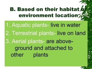 B. Based on their habitat or
environment location
1. Aquatic plants- live in water
2. Terrestrial plants- live on land
3. Aerial plants- are above-
ground and attached to
other plants
 