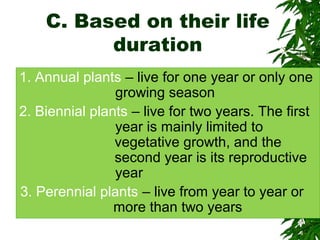 C. Based on their life
duration
1. Annual plants – live for one year or only one
growing season
2. Biennial plants – live for two years. The first
year is mainly limited to
vegetative growth, and the
second year is its reproductive
year
3. Perennial plants – live from year to year or
more than two years
 