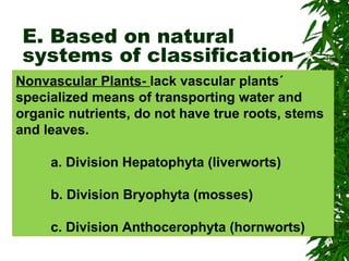 Nonvascular Plants- lack vascular plants´
specialized means of transporting water and
organic nutrients, do not have true roots, stems
and leaves.
a. Division Hepatophyta (liverworts)
b. Division Bryophyta (mosses)
c. Division Anthocerophyta (hornworts)
E. Based on natural
systems of classification
 