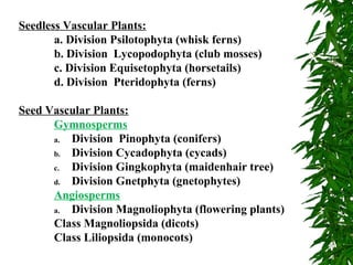 Seedless Vascular Plants:
a. Division Psilotophyta (whisk ferns)
b. Division Lycopodophyta (club mosses)
c. Division Equisetophyta (horsetails)
d. Division Pteridophyta (ferns)
Seed Vascular Plants:
Gymnosperms
a. Division Pinophyta (conifers)
b. Division Cycadophyta (cycads)
c. Division Gingkophyta (maidenhair tree)
d. Division Gnetphyta (gnetophytes)
Angiosperms
a. Division Magnoliophyta (flowering plants)
Class Magnoliopsida (dicots)
Class Liliopsida (monocots)
 