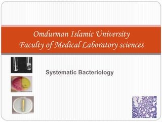 Systematic Bacteriology
Omdurman Islamic University
Faculty of Medical Laboratory sciences
 