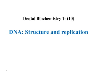 Dental Biochemistry 1- (10)
DNA: Structure and replication
1
 