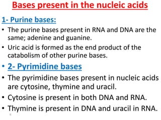 Lec 10 level 3-de (dna structure and replication) | PDF