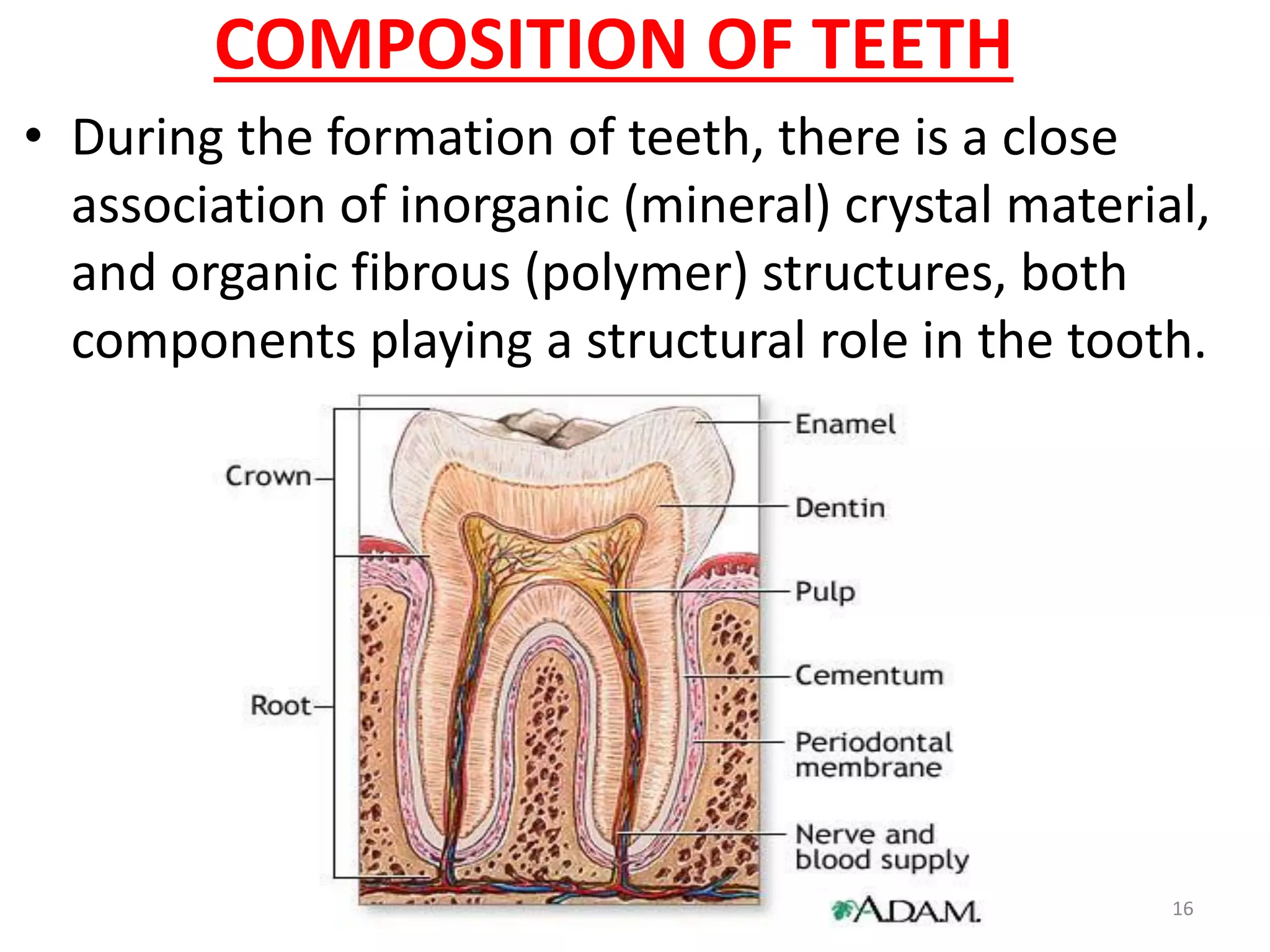 Tooth Compound Lec 10, 11 level 4-de (biochemistry of teeth, saliva and dental caries ...