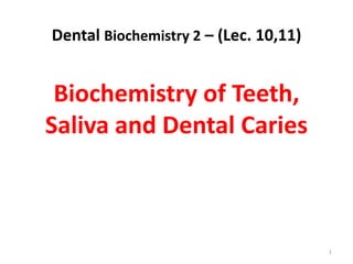 Dental Biochemistry 2 – (Lec. 10,11)


 Biochemistry of Teeth,
Saliva and Dental Caries



                                       1
 