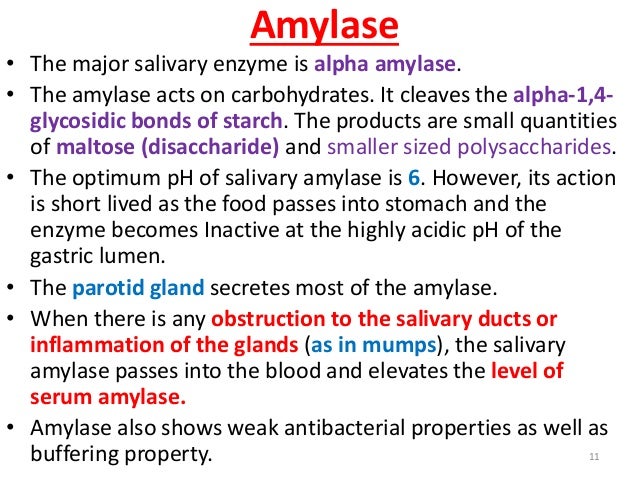 Lec 10, 11 level 4de (biochemistry of teeth, saliva and