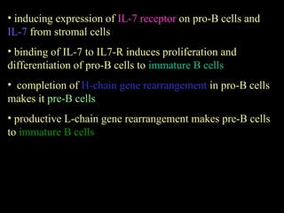 Prob Cell Lec 10 (B-cells memory immunology biotechnology).ppt