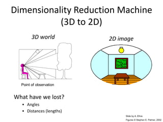 Point of observation
Figures © Stephen E. Palmer, 2002
Dimensionality Reduction Machine
(3D to 2D)
3D world 2D image
What have we lost?
• Angles
• Distances (lengths)
Slide by A. Efros
 