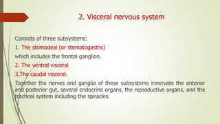2. Visceral nervous system
Consists of three subsystems:
1. The stomodeal (or stomatogastric)
which includes the frontal ganglion.
2. The ventral visceral
3.The caudal visceral.
Together the nerves and ganglia of these subsystems innervate the anterior
and posterior gut, several endocrine organs, the reproductive organs, and the
tracheal system including the spiracles.
 
