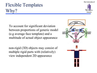 The University of
Ontario
Flexible Templates
Why?
To account for significant deviation
between proportions of generic model
(e.g average face template) and a
multitude of actual object appearance
non-rigid (3D) objects may consist of
multiple rigid parts with (relatively)
view independent 2D appearance
 