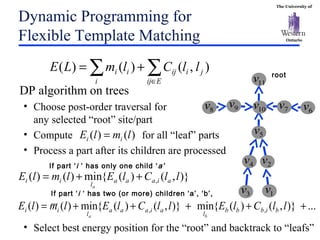 The University of
Ontario
Dynamic Programming for
Flexible Template Matching
DP algorithm on trees
• Choose post-order traversal for
any selected “root” site/part
• Compute for all “leaf” parts
• Process a part after its children are processed
• Select best energy position for the “root” and backtrack to “leafs”
),()()( j
i Eij
iijii llClmLE ∑ ∑∈
+=
1v
7v9v8v 10v 6v
2v
3v
4v
5v
11v root
)()( lmlE ii =
)},()({min)()( , llClElmlE aiaaa
l
ii
a
++=
...)},()({min)},()({min)()( ,, +++++= llClEllClElmlE bibbb
l
aiaaa
l
ii
ba
If part ‘i ‘ has only one child ‘a’
If part ‘i ‘ has two (or more) children ‘a’, ‘b’,
…
 