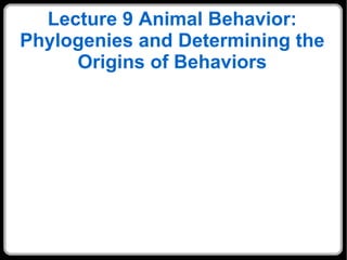 Lecture 9 Animal Behavior: Phylogenies and Determining the Origins of Behaviors 