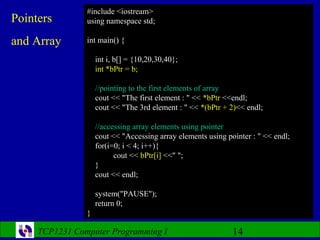 Computer Programming- Lecture 11 | PPT