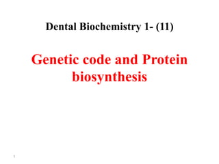 Dental Biochemistry 1- (11)


    Genetic code and Protein
          biosynthesis




1
 
