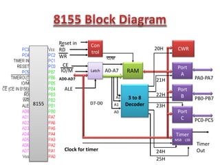 3 to 8
Decoder
RAM
Con
trol
CWR
Port
A
Port
B
Port
C
Timer
MSB LSB
Latch
Clock for timer
PA0-PA7
PB0-PB7
PC0-PC5
Timer
Out
Reset in
RD
WR
A0
A1
A2
ALE
CE
IO/M
IO/M
AD0-AD7
A0-A7
D7-D08155
20H
21H
22H
23H
24H
25H
 