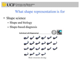 What shape representation is for
• Shape science
– Shape and biology
– Shape-based diagnosis
Brain structures (Gerig)
 