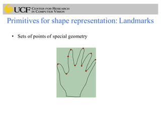 Primitives for shape representation: Landmarks
• Sets of points of special geometry
 