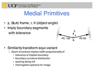Medial Primitives
• x, (b,n) frame, r, θ (object angle)
• Imply boundary segments
with tolerance
• Similarity transform equi-variant
– Zoom invariance implies width-proportionality of
• tolerance of implied boundary
• boundary curvature distribution
• spacing along net
• interrogation aperture for image
θ
b
rR(- θ)b
x
rR(θ)b
n
 