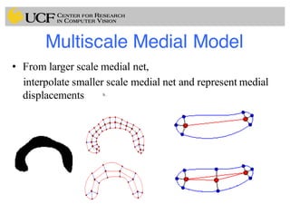 Multiscale Medial Model
• From larger scale medial net,
interpolate smaller scale medial net and represent medial
displacements b.
 