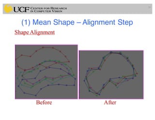 (1) Mean Shape – Alignment Step
28
Shape Alignment
Before After
 