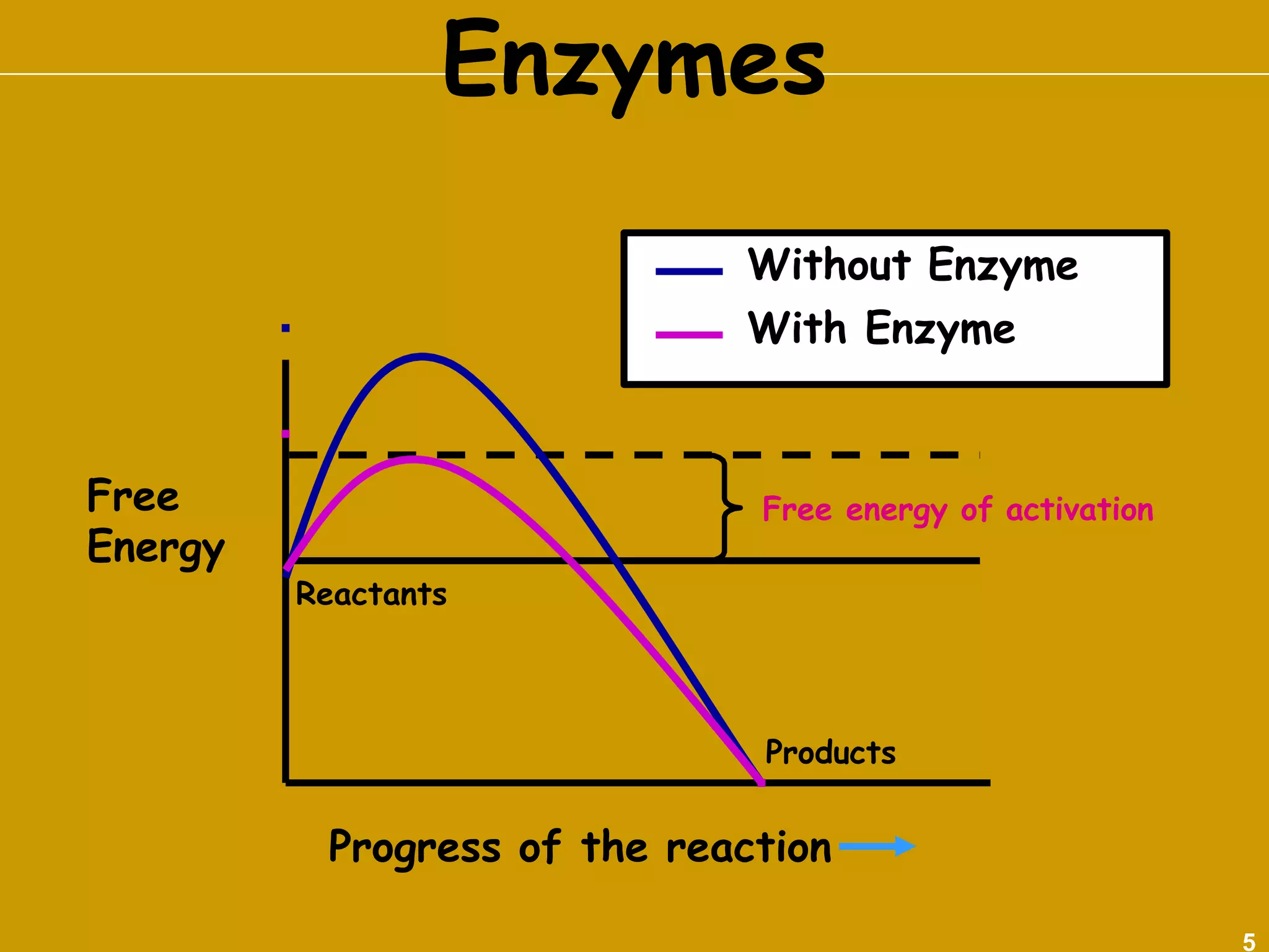 CHEMISTRY OF ENZYMES | PPTX