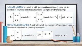 Solution of Linear System of Equations and Matrices | PPTX
