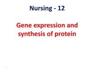 Nursing - 12

    Gene expression and
    synthesis of protein



1
 