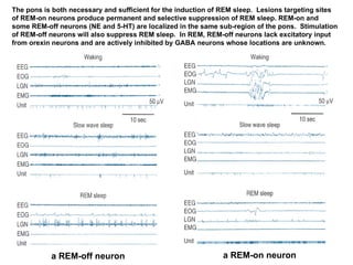 COGS 107B - Winter 2010 - Lecture 12 - control and function of sleep ...